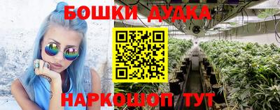 apvp Гусев