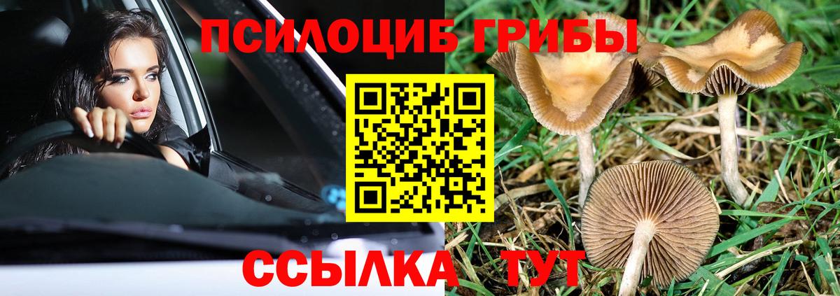 Галлюциногенные грибы MAGIC MUSHROOMS Красногорск