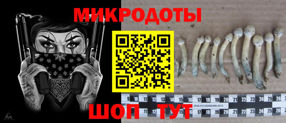 Красногорск  Псилоцибиновые грибы Psilocybe  Псилоцибиновые грибы мухоморы  Вход с VPN 